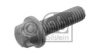 VAUXH 11095001 Screw